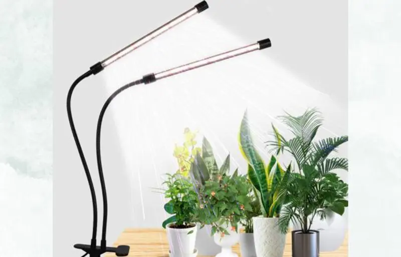 indoor light for plants grow