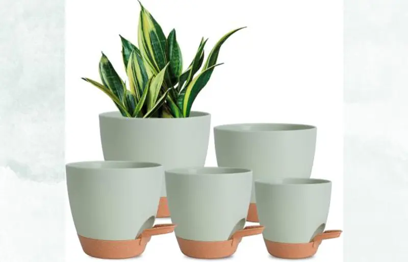 self watering planters