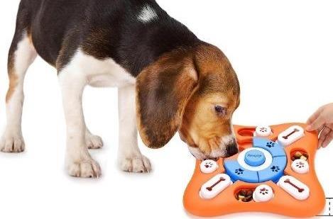 dog puzzle toy